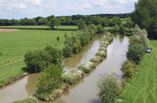 fshing-support-image